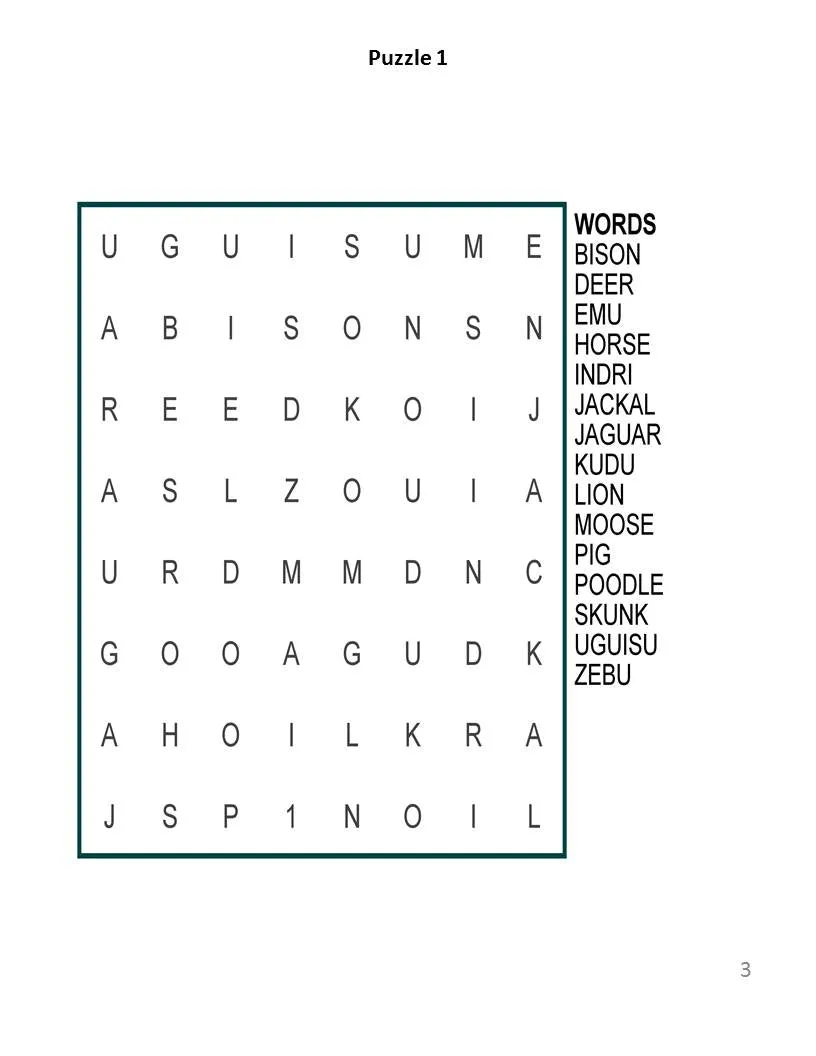 100 Word Search Puzzles For Kids - Digital Download