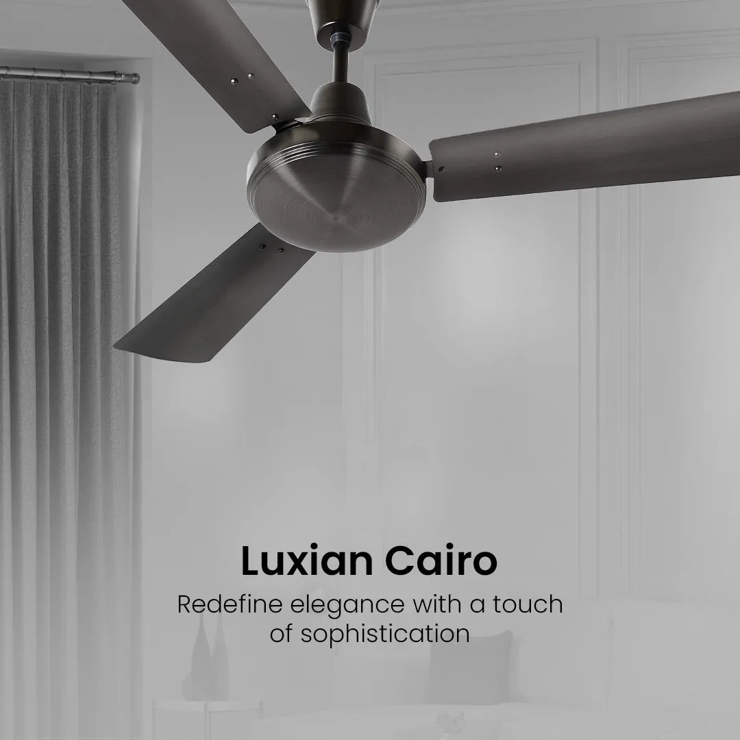 Crompton Luxian Cairo | Designer Ceiling Fan