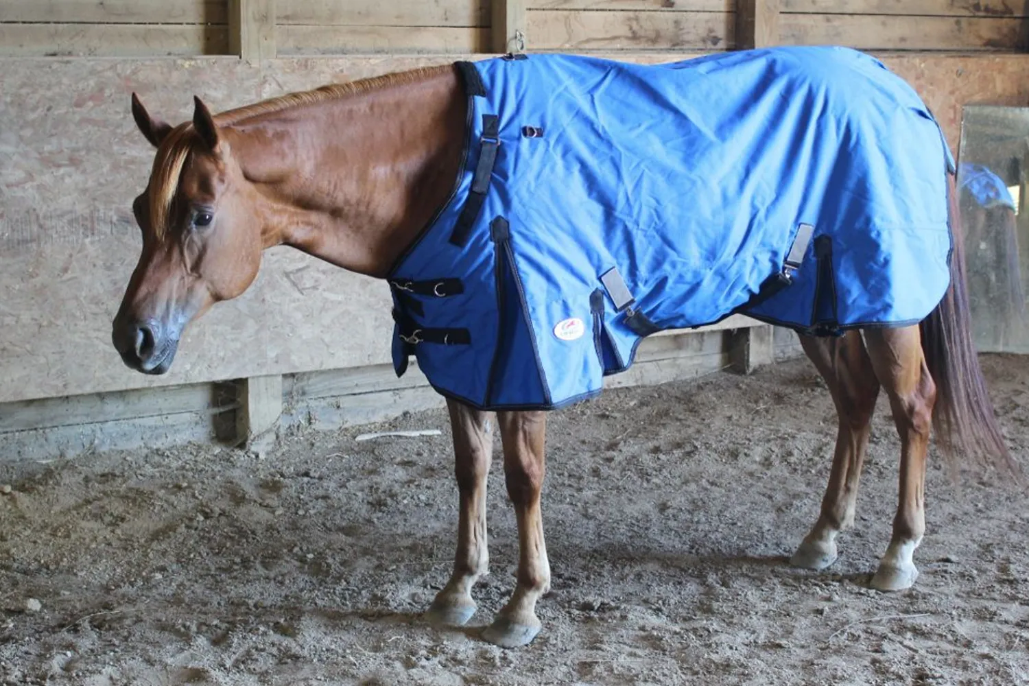 Derby Originals Nordic Tough 1200D Ripstop Waterproof Reflective Winter Horse Turnout Blanket 300g Heavy Weight 2 Year Warranty