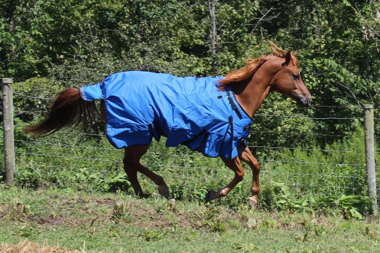 Derby Originals Nordic Tough 1200D Ripstop Waterproof Reflective Winter Horse Turnout Blanket 300g Heavy Weight 2 Year Warranty