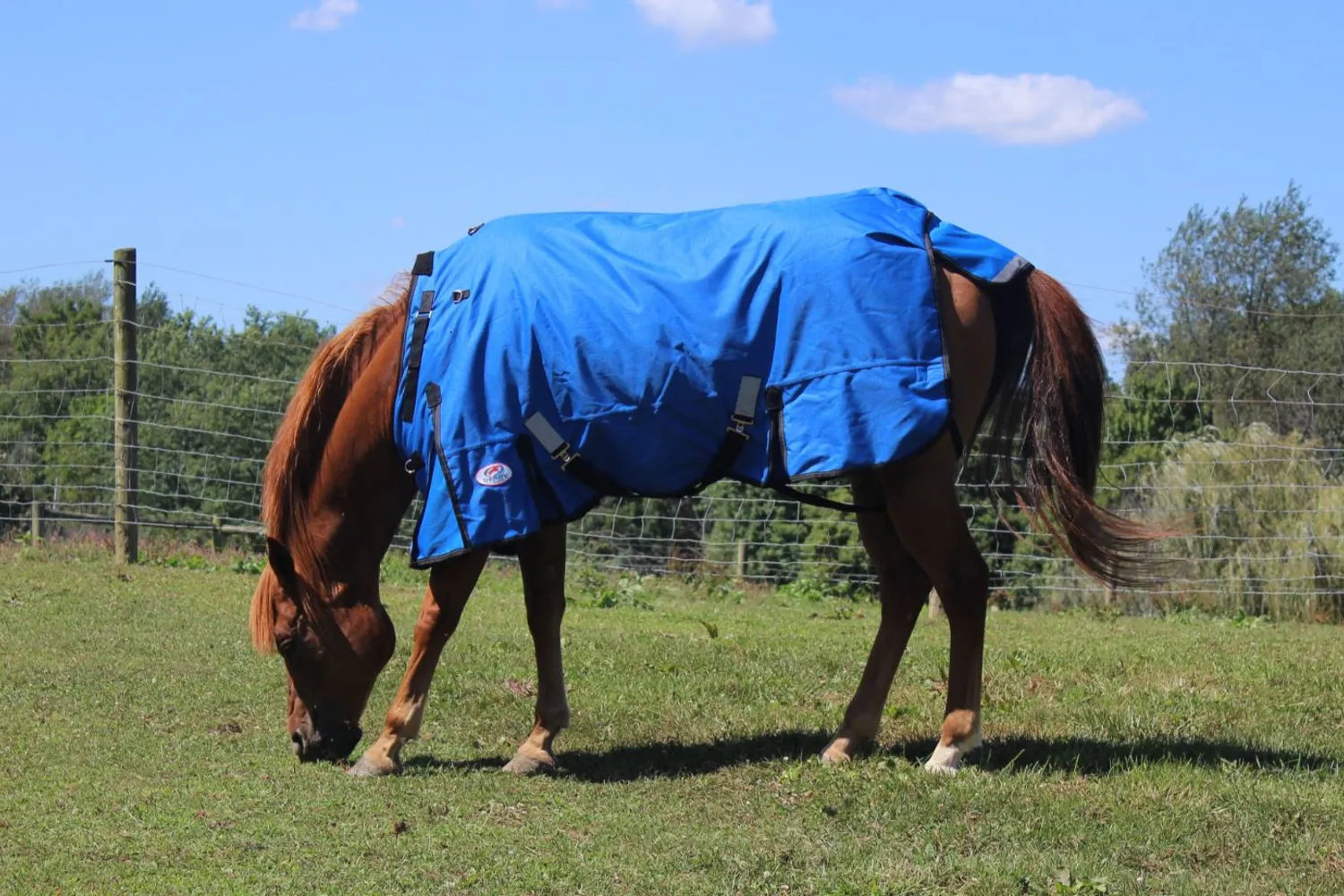 Derby Originals Nordic Tough 1200D Ripstop Waterproof Reflective Winter Horse Turnout Blanket 300g Heavy Weight 2 Year Warranty