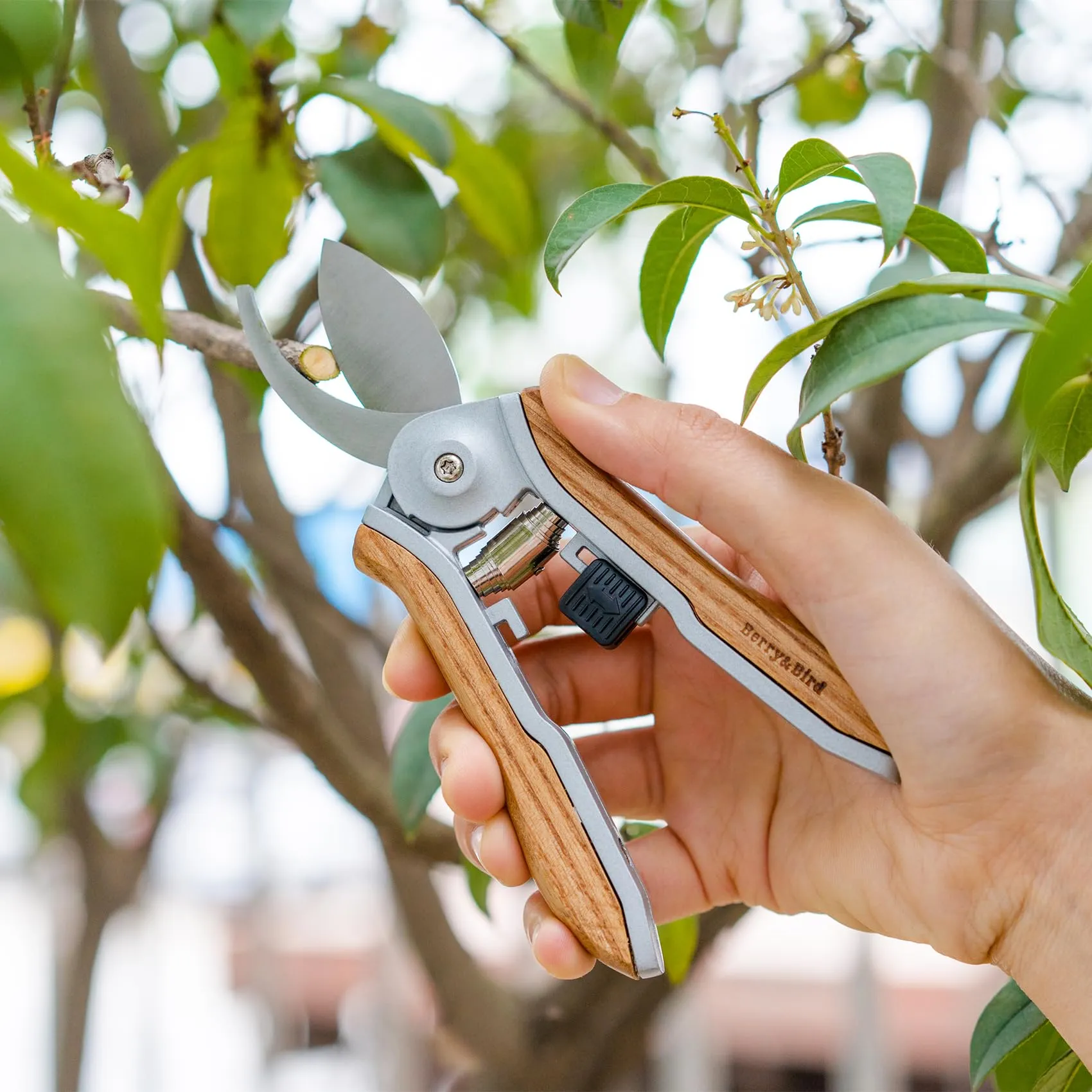 Garden Shears Mini Pruning Shears 6.1 inch Stainless Steel Curved Blades Pruning Scissors with Wooden Handle