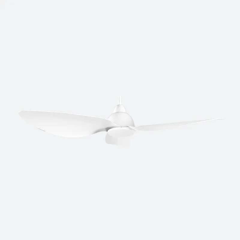 OPRL Modern Decor Fans (NLO)