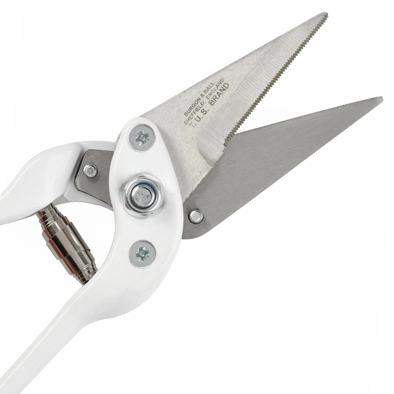 Professional Serrated Footrot Shears