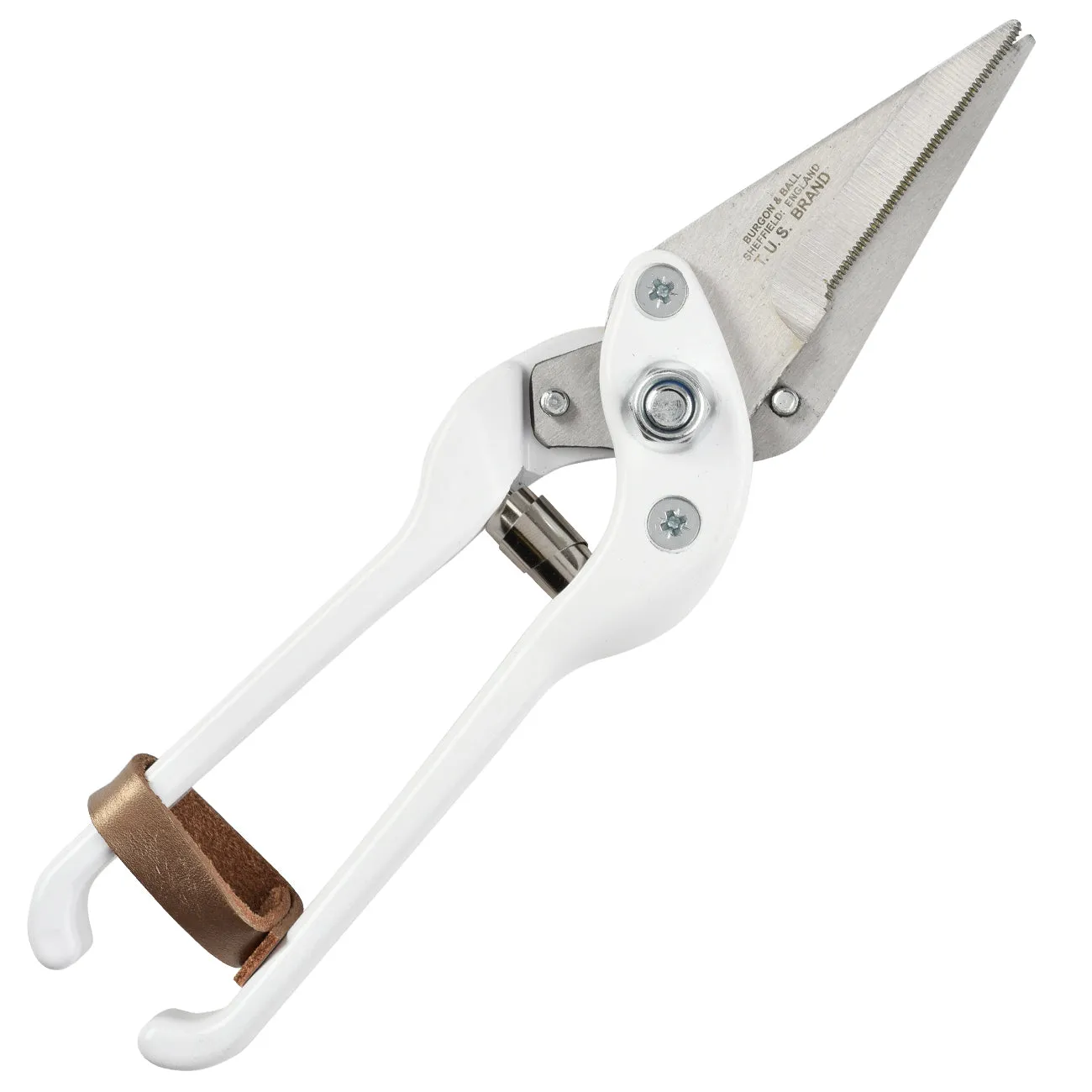 Professional Serrated Footrot Shears