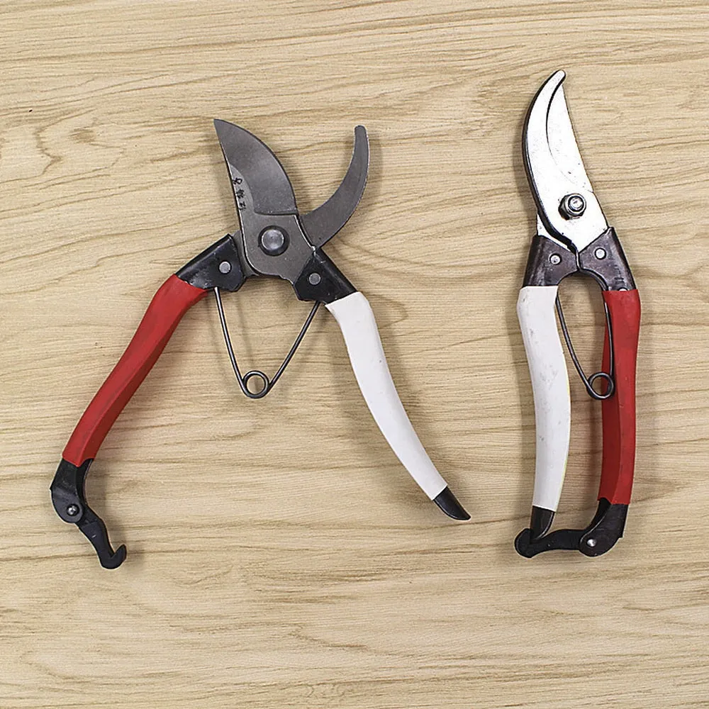 Pruning Shears High Quality Bonsai