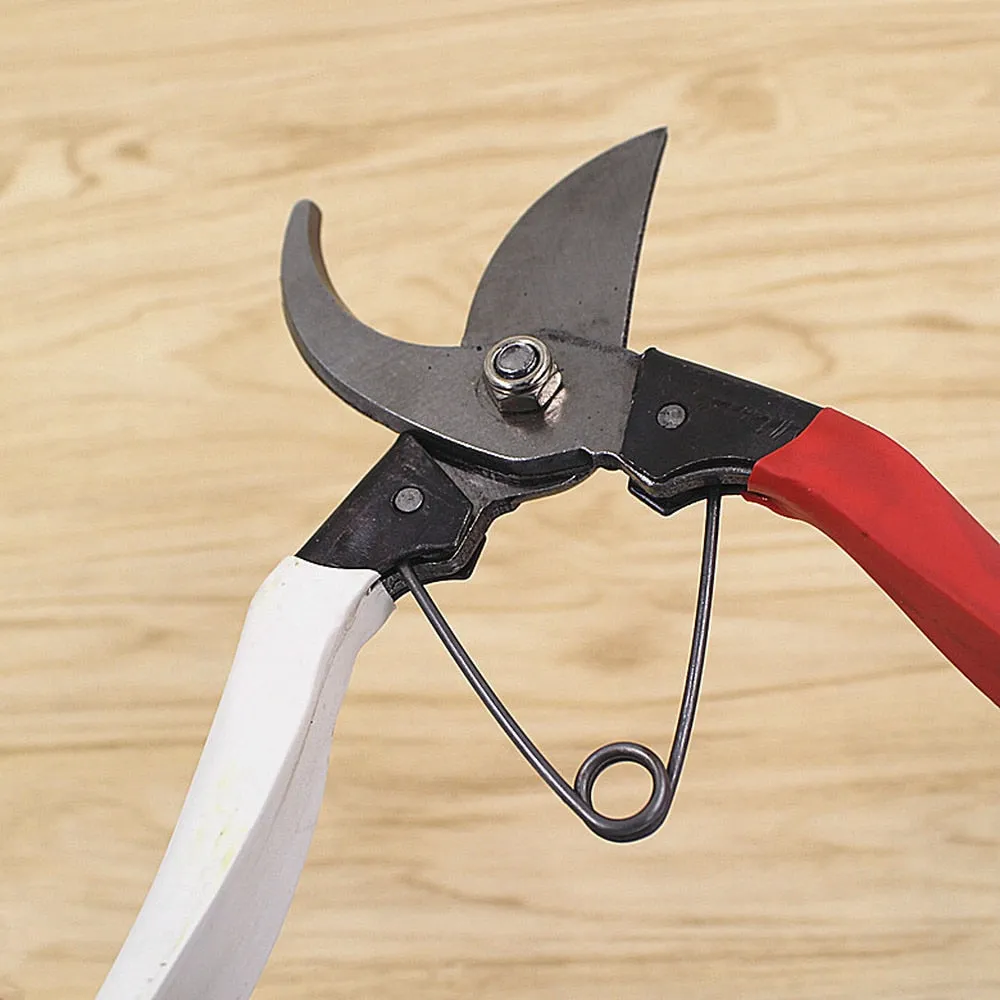 Pruning Shears High Quality Bonsai