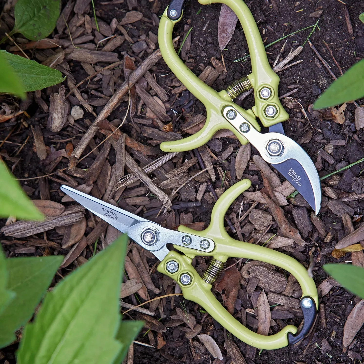 Pruning Shears