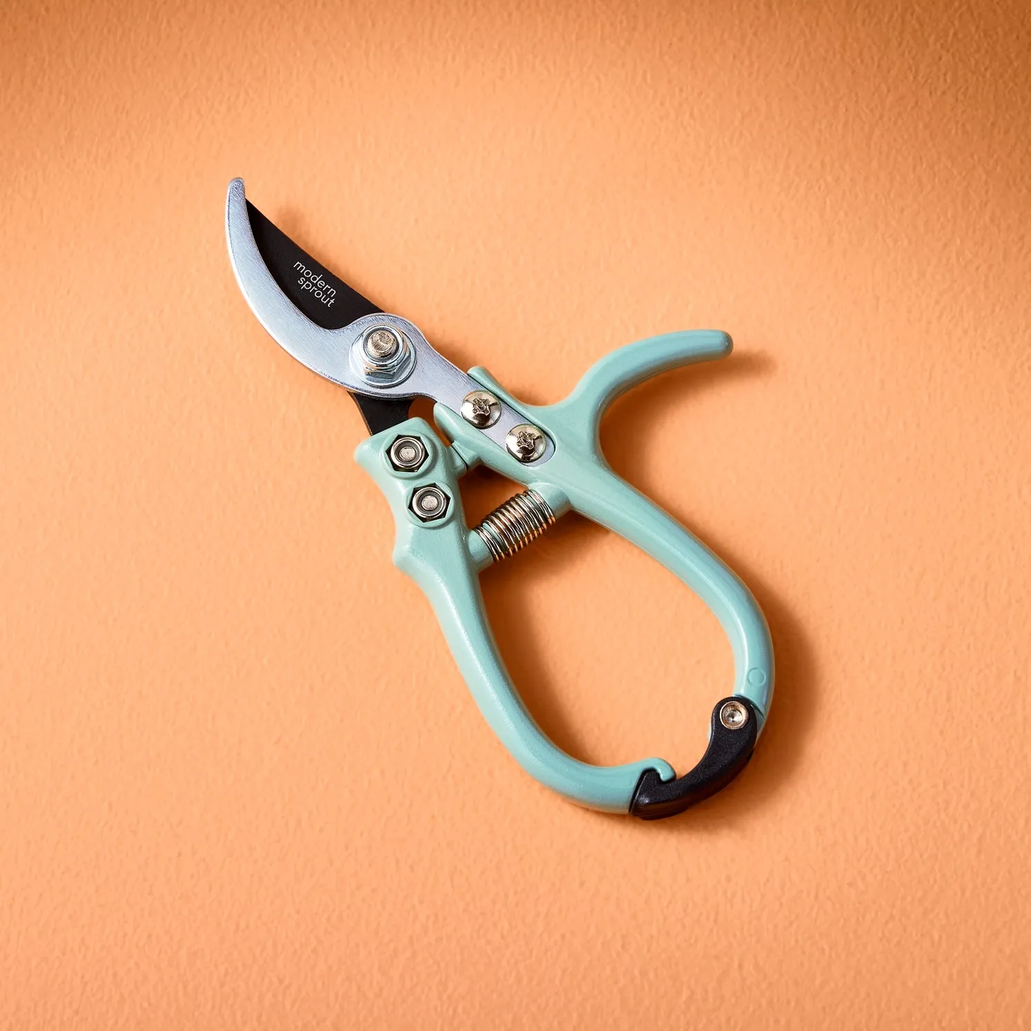 Pruning Shears