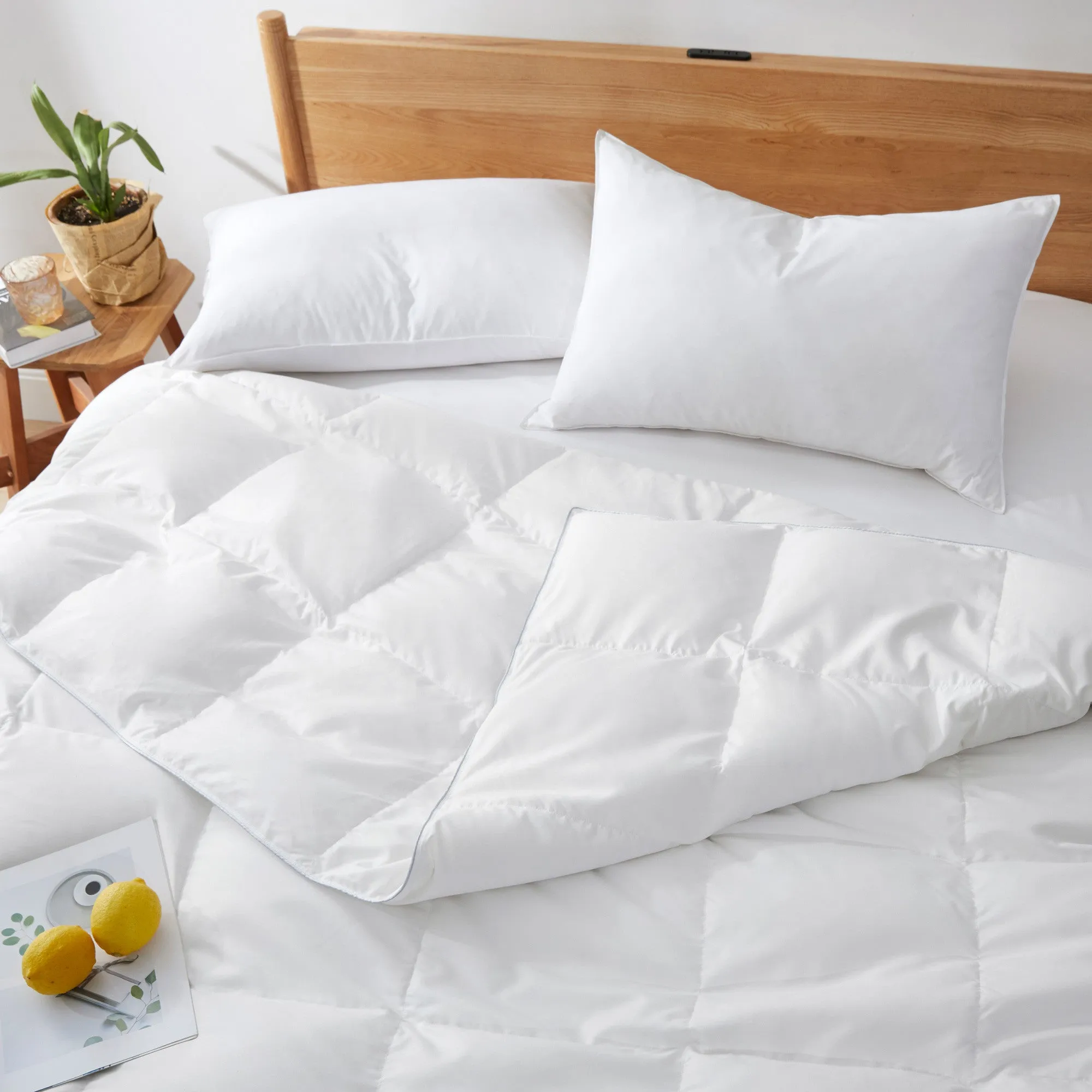 Puredown Feather and Down Comforter