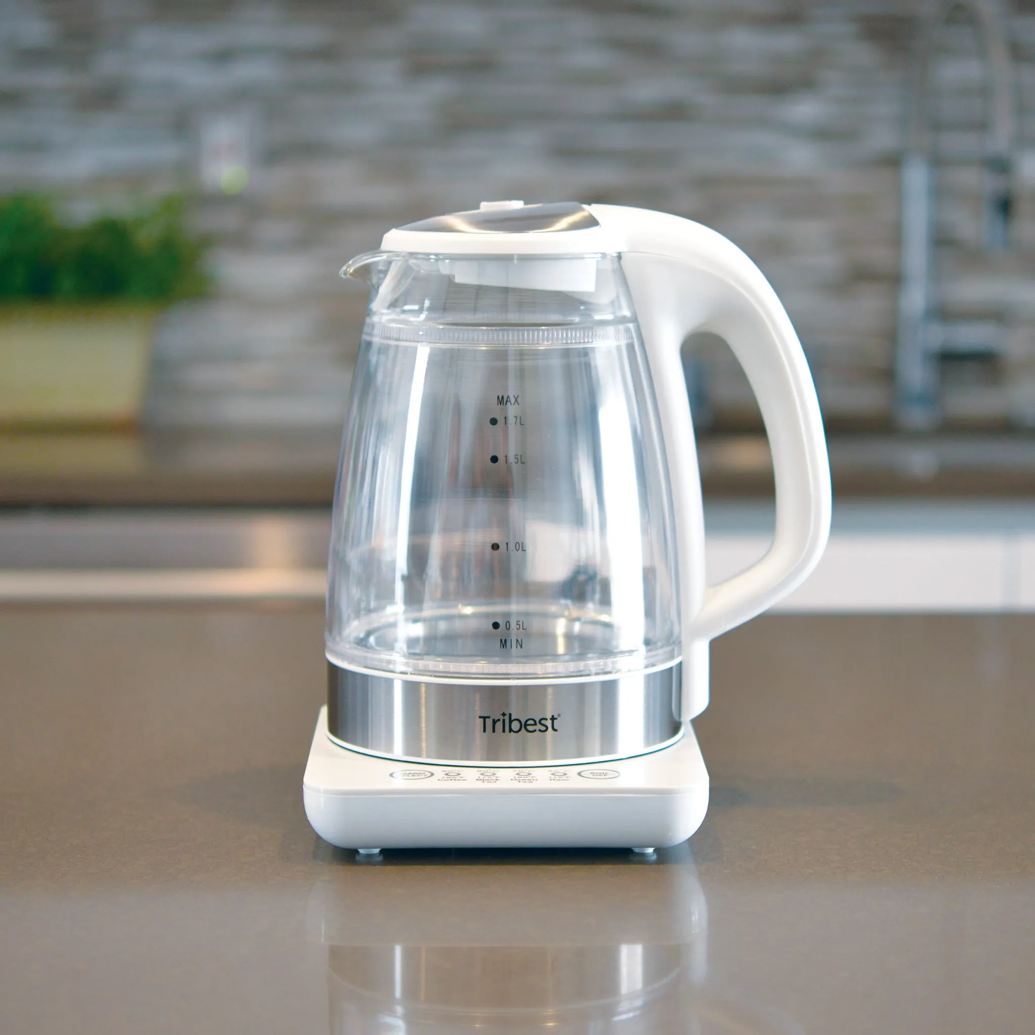 Raw Tea Kettle® Glass Electric Brewing System