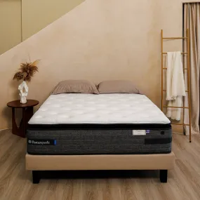 Sealy Posturepedic Elevate - Veracity Mattress