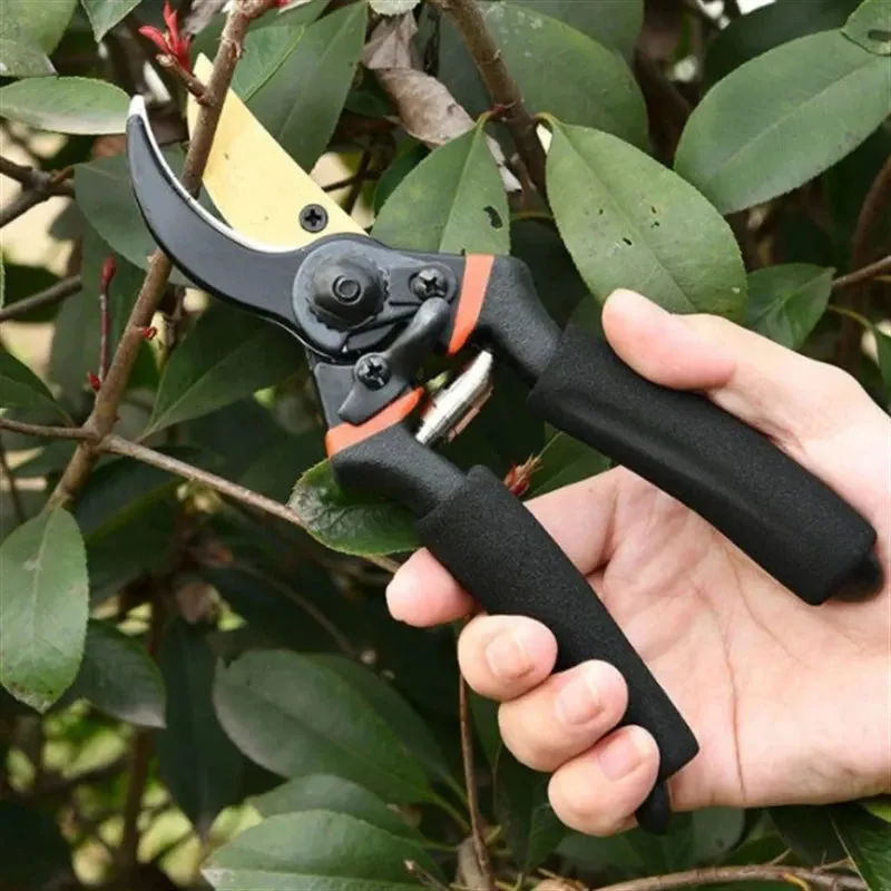 Sharp Hand Pruners