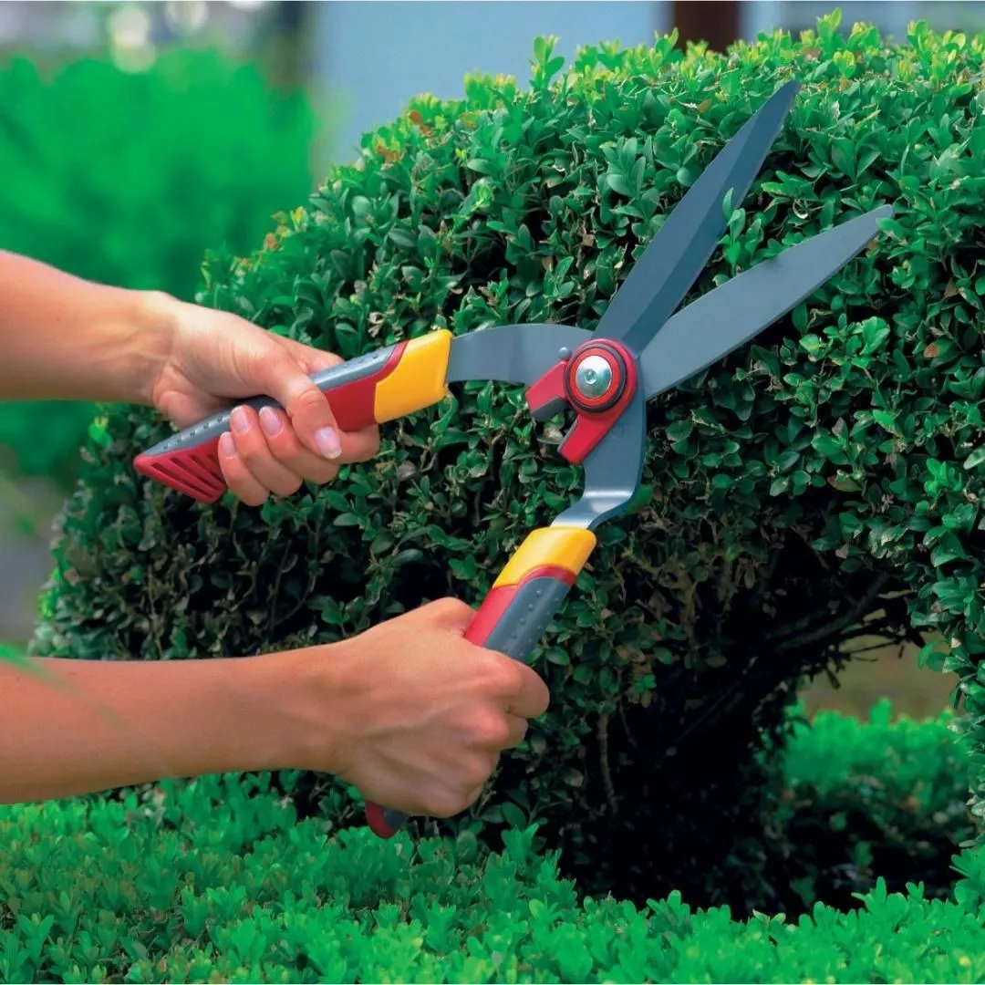 Wolf Garten Box Tree Shears