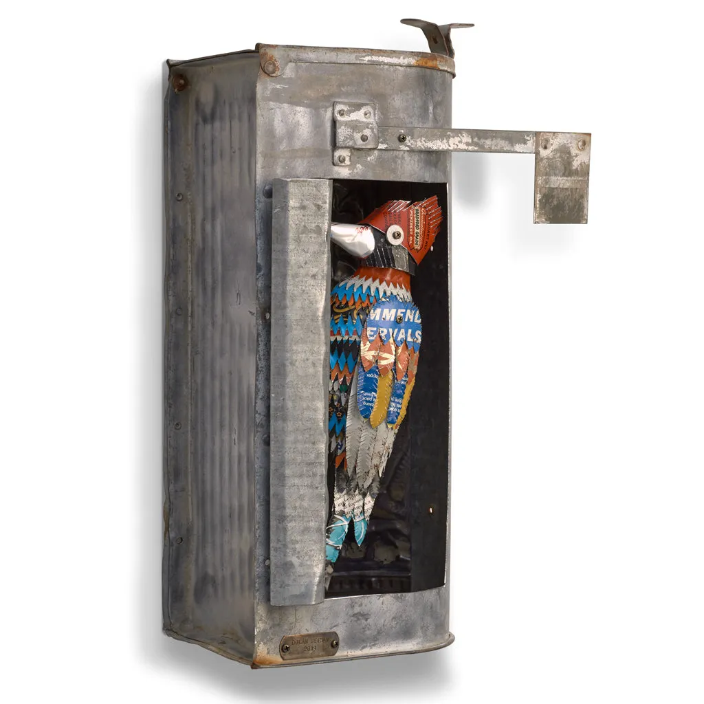 WOODPECKER DIORAMA (IN MAILBOX) original mixed media wall sculpture