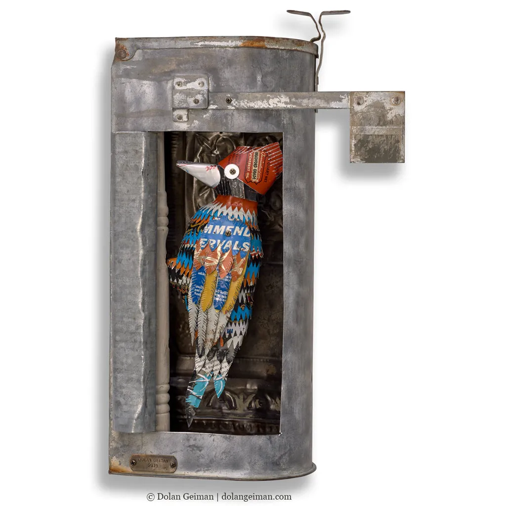 WOODPECKER DIORAMA (IN MAILBOX) original mixed media wall sculpture